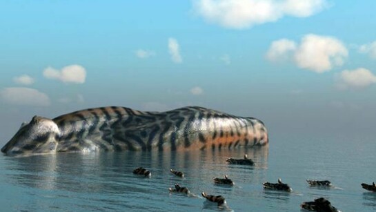 Kim Joon, Island-Mackerel, 2013, digital print, 39.4 x 63 inches. Courtesy of Sundaram Tagore Gallery.