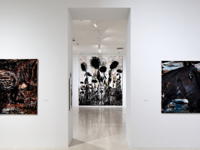 Regeneration Series, Exhibition view. Courtesy of NSU Art Museum