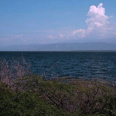 El Lago Enriquillo es un ecosistema vibrante y un reflejo de la historia geológica y cultural de República Dominicana y la región