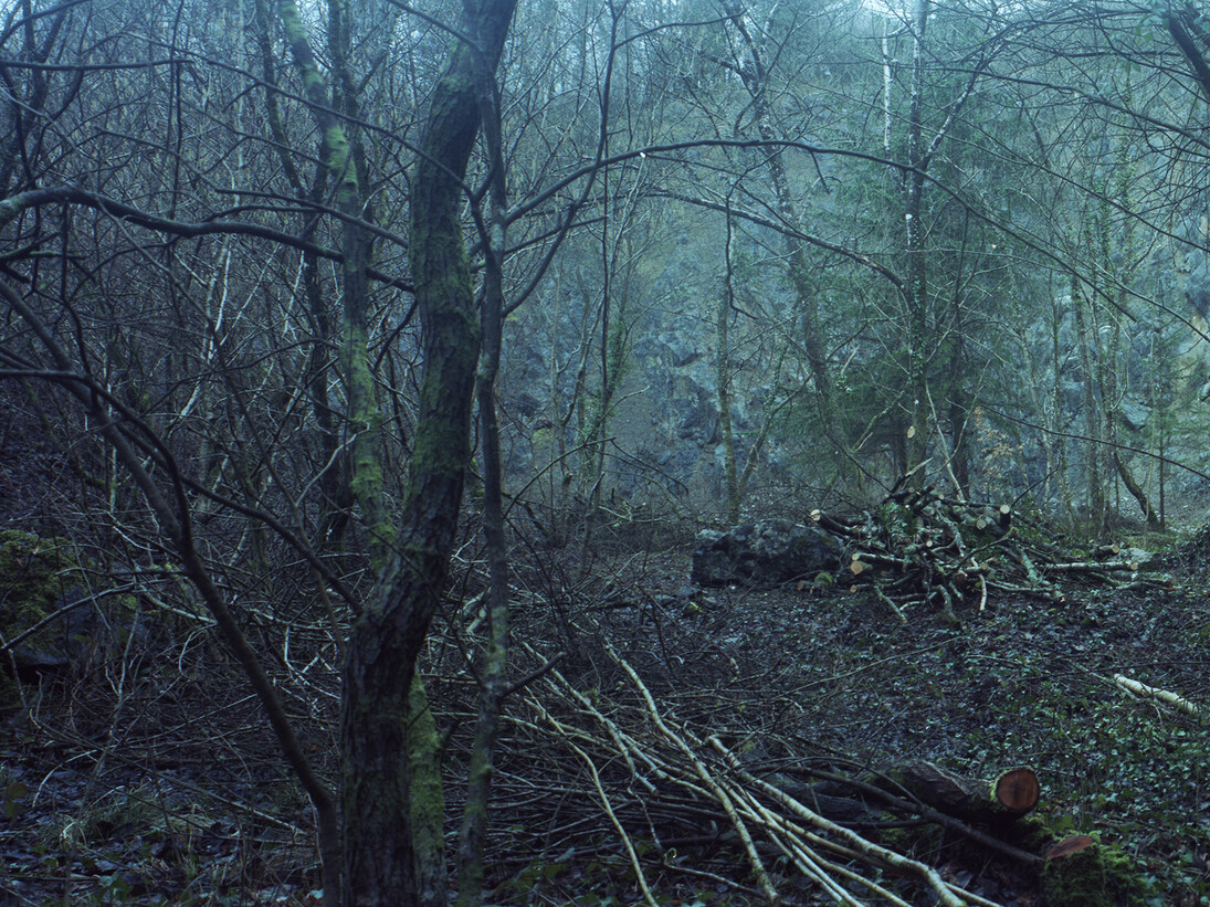 Richard Billingham