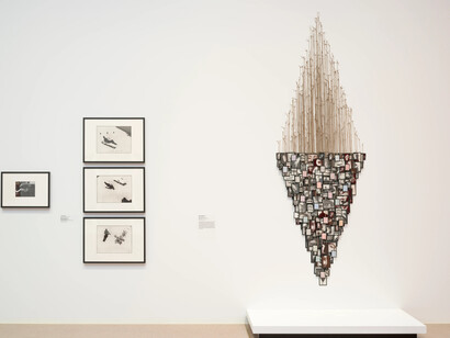 Various artists, Women photographers 1853–2018, exhibition view. Courtesy of National Gallery of Australia