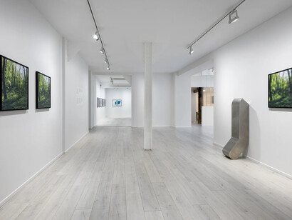 Terence Gower, vue d'exposition. Avec l'aimable autorisation d'Andréhn-Schiptjenko