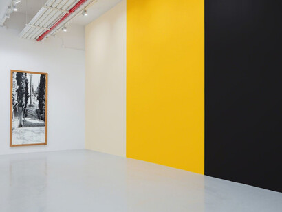 Günther Förg. Courtesy of Hauser & Wirth