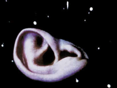 Magical Soup. Courtesy of Hamburger Bahnhof