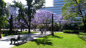 Buenos Aires se presenta como una metrópoli vibrante y diversa, capaz de conjugar lo europeo y lo latinoamericano en una oferta cultural inagotable