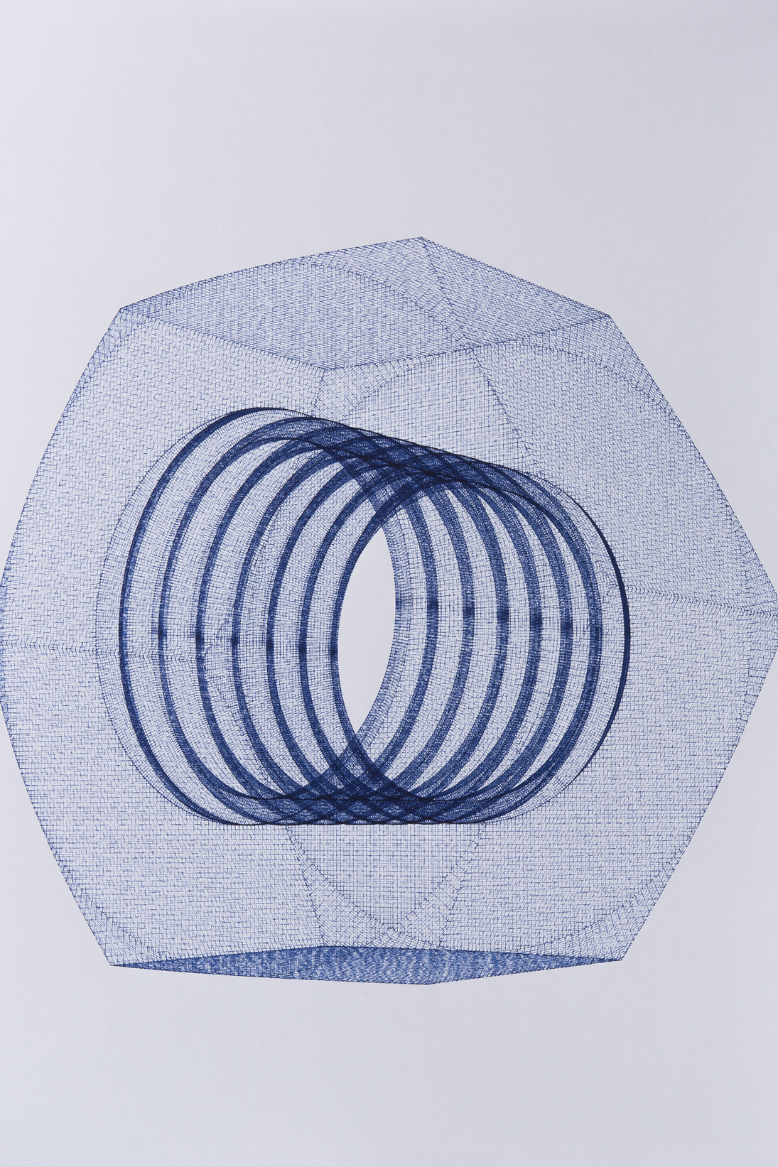 Michael DeLucia, Nut, 2014, Dessin analogique, Plotted drawing, ink on paper, 67,6 x 52,6 x 3 cm encadré (26 5/8 x 20 3/4 x 1 1/8 in.) framed, Courtesy Michael DeLucia & Galerie Nathalie Obadia Paris / Brussels © We Document Art