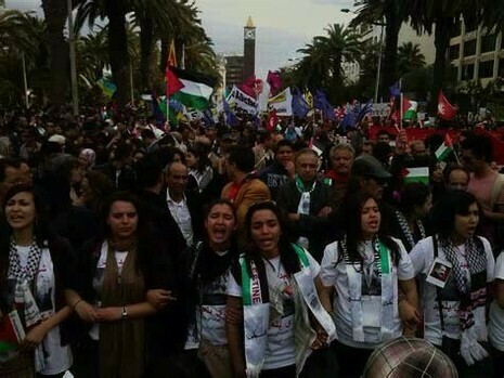 WSF Tunis 2013