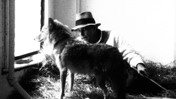 Creatures. Courtesy of Contemporary Arts Center