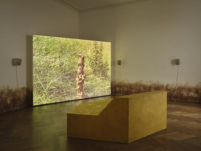 Diambe, Bees beings beans, exhibition view. Courtesy of Kunsthalle Basel