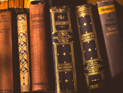 The media has the power to spread minority languages and their importance at a much wider level