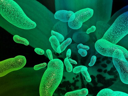 Hay microbios que cuentan con enzimas que les permiten alimentarse de plástico