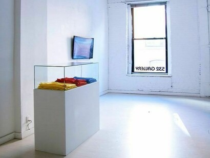 Installation view of exhibition 'Zero Gravity', 532 Gallery Thomas Jaeckel, New York, 2013  
