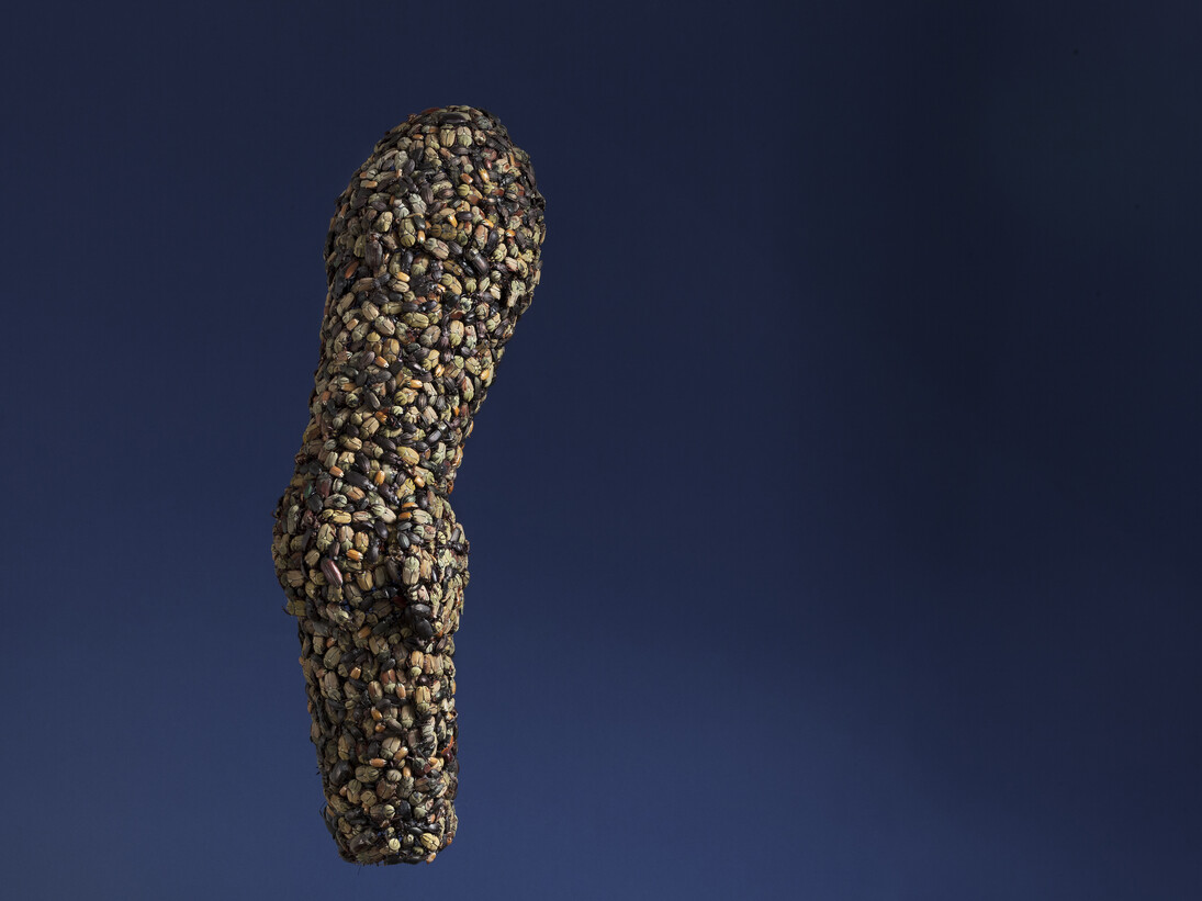 Jan Fabre, Armour (Arm), 1997, beetles on iron wire, 64 x 15 x 15 cm. Photo Claudio Abate, courtesy the artist and Ronchini Gallery