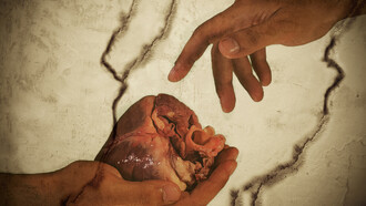 Donación de órganos. Un regalo de vida