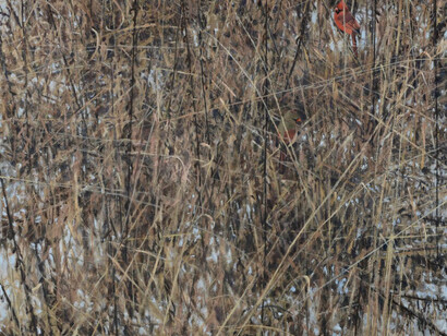 Birds of a Feather. Courtesy of Trailside Galleries