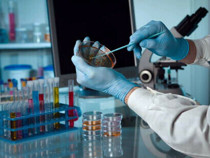 Um cientista fazendo uma cultura de células-tronco