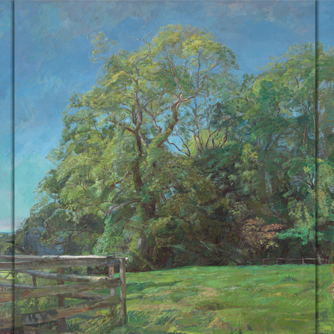 Daphne Todd, Ash Trees in High Summer