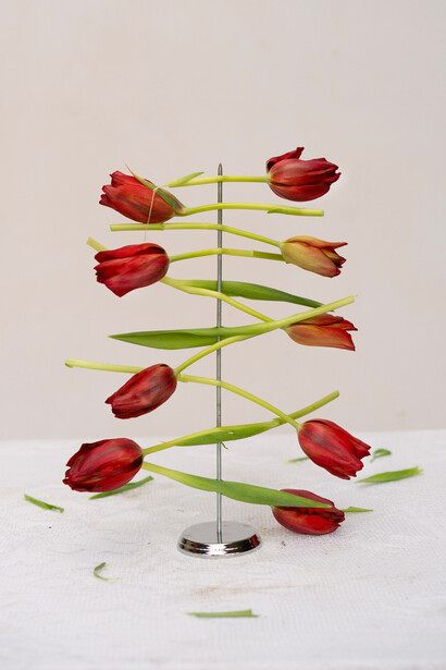 James Henkel, Arrangement for tulips, 2023. Courtesy of Tracey Morgan Gallery