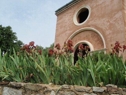 Iris a Villa Byron