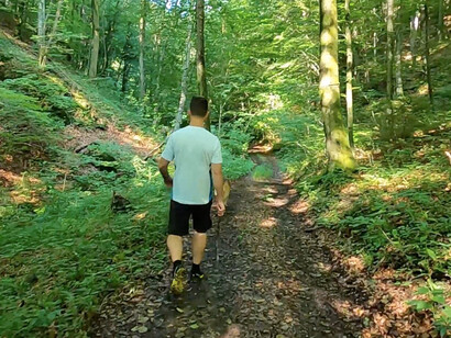 Navigating the dense woods, he reminds us that losing sight of our objectives can lead to confusion, much like Alice in her adventures