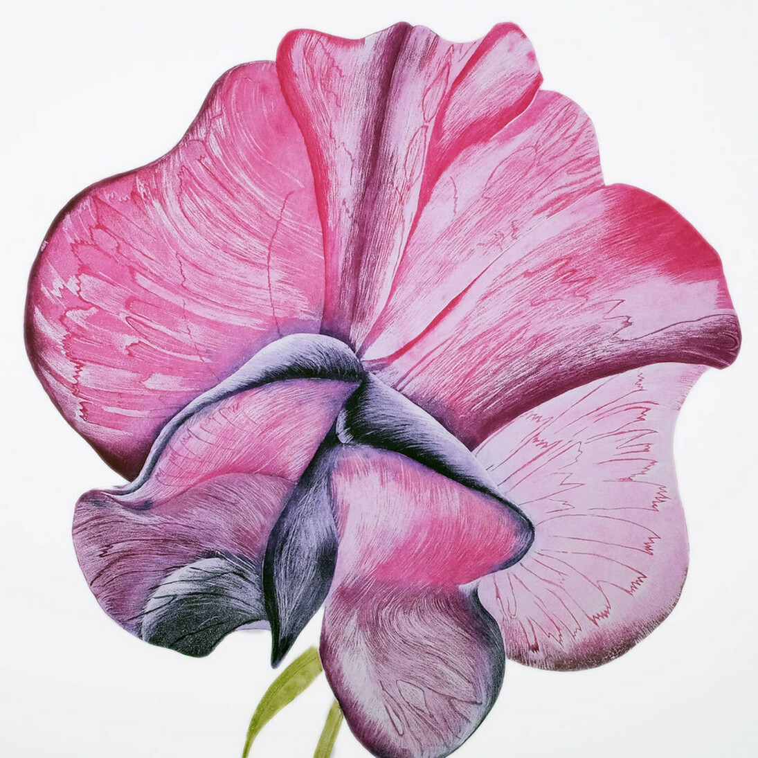 Gráinne Cuffe, Etching, 114 x 108 cm. Courtesy of Graphic Studio Gallery