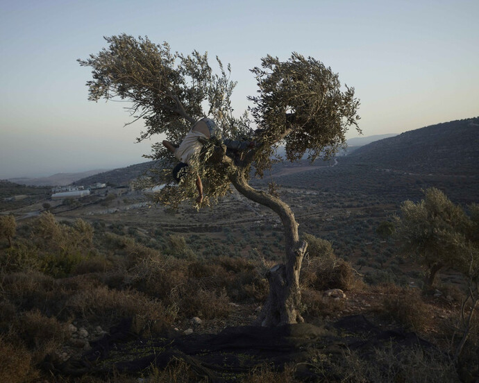 Luc Delahaye. Courtesy of Galerie Nathalie Obadia