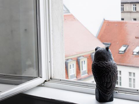 Zarouhie Abdalian, a caveat, a decoy, 2014, window, sound, and owl decoy, dimensions variable, detail view
