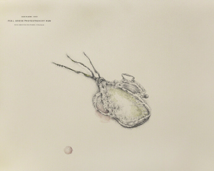 Shelter in Place. Courtesy of Front Room Gallery