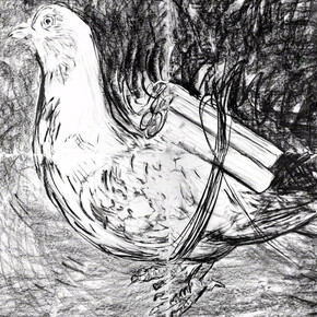 Adel Abdessemed, Pigeon, 2016. Courtesy of Cahiers d'Art