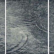 FFranz Gertsch, Porträts und naturstücke II. Mit freundlicher genehmigung des Museum Franz Gertsch