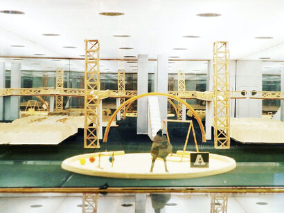 Convegno internazionale allo CSAC, Exhibition view. Courtesy of CSAC