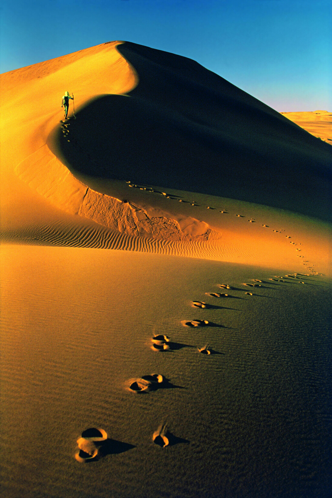 Deserto del Namib, Namibia. Aprile/Maggio 1972