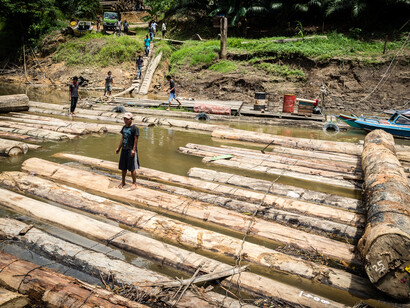 Deforestazione nella foresta pluviale del Kalimantan - Foto di Riccardo Gallino