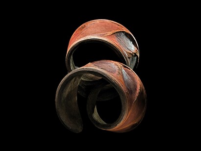 Pentaclethra macrophylla (mubala), Semi (5 Continents Editions), photo Paul Starosta