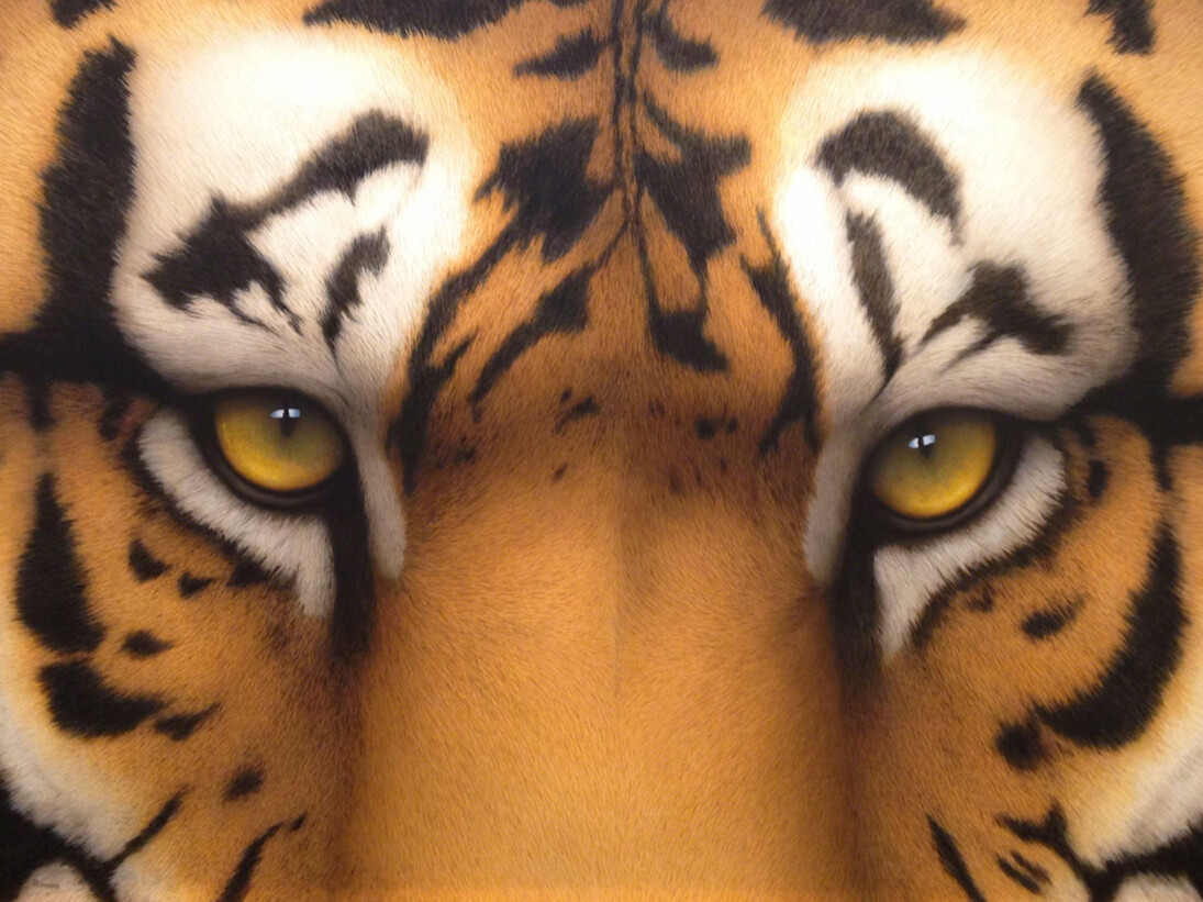Tom Palmore, Tiger Eyes II, 2016. Courtesy of J. Cacciola Gallery W