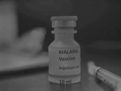 Ha sido mucho más difícil desarrollar una vacuna segura y eficaz contra la malaria que contra la COVID-19