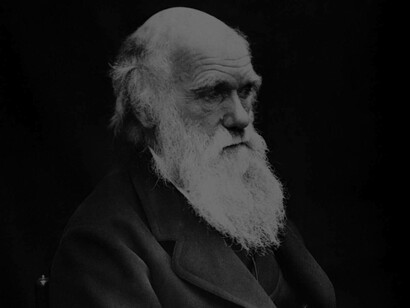 Statue of Charles Darwin outside the National History Museum in London