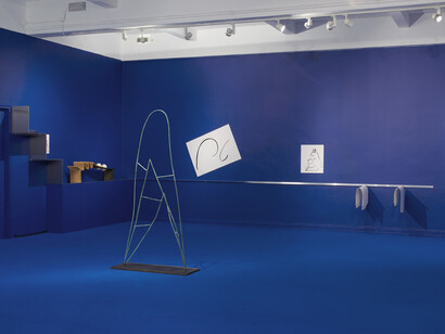 Camille Henrot, The Pale Fox (détail), 2014. Photo : Andy Keate