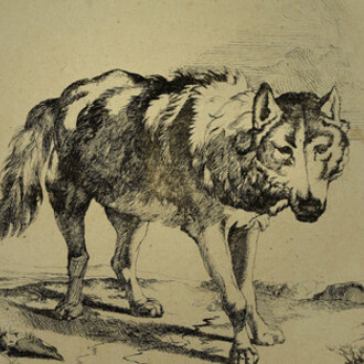 Der Wolf. Courtesy of Wallraf-Richartz-Museum
