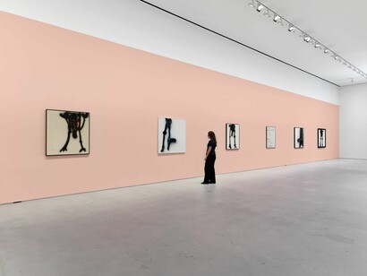 Carol Rama, I see you you see me, exhibition view. Courtesy of Hauser & Wirth Gallery
