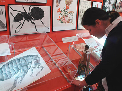 Beautiful Science. Courtesy of The Huntington