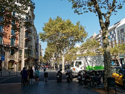 La urbanización del Paseo de Gràcia y de todo el Ensanche acabará de un plumazo con toda la base rural que contempló el llano barcelonés durante más de mil años, con sus campos y sus encinas. Passeig de Gràcia, Barcelona, España