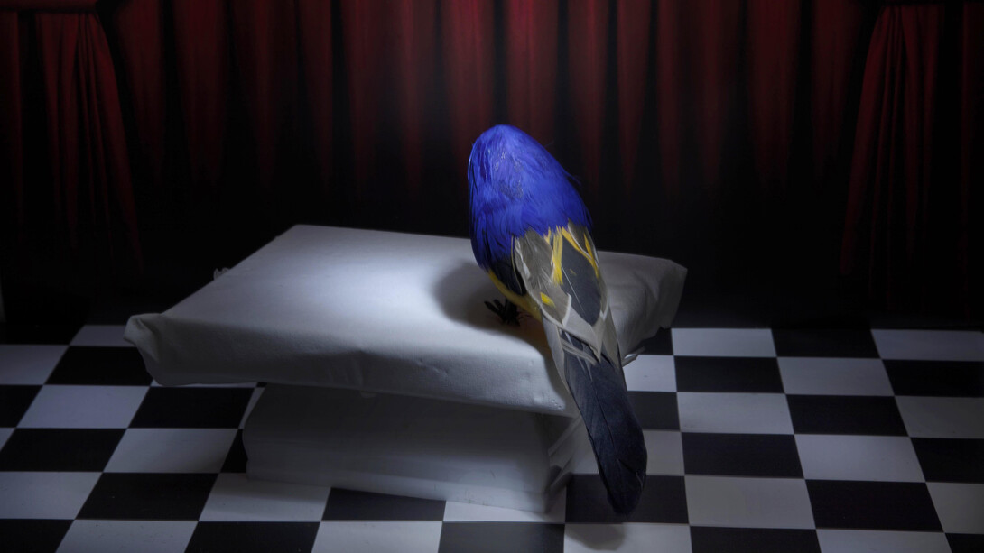 Artisti vari, Le muse surreali. Per gentile concessione della Galleria Vik Milano