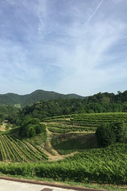 Colli Asolani