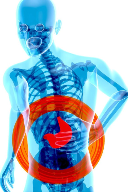 Image that features a skeleton, emphasizing its stomach area by enclosing it within a striking red circle
