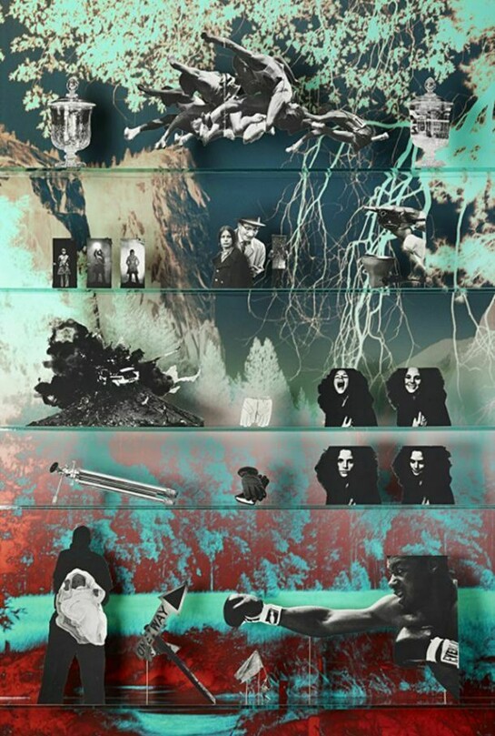 Matt Lipps, Special Problems, C-print, 78.5 x 50 inches, 2014