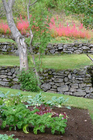 Orto e giardino