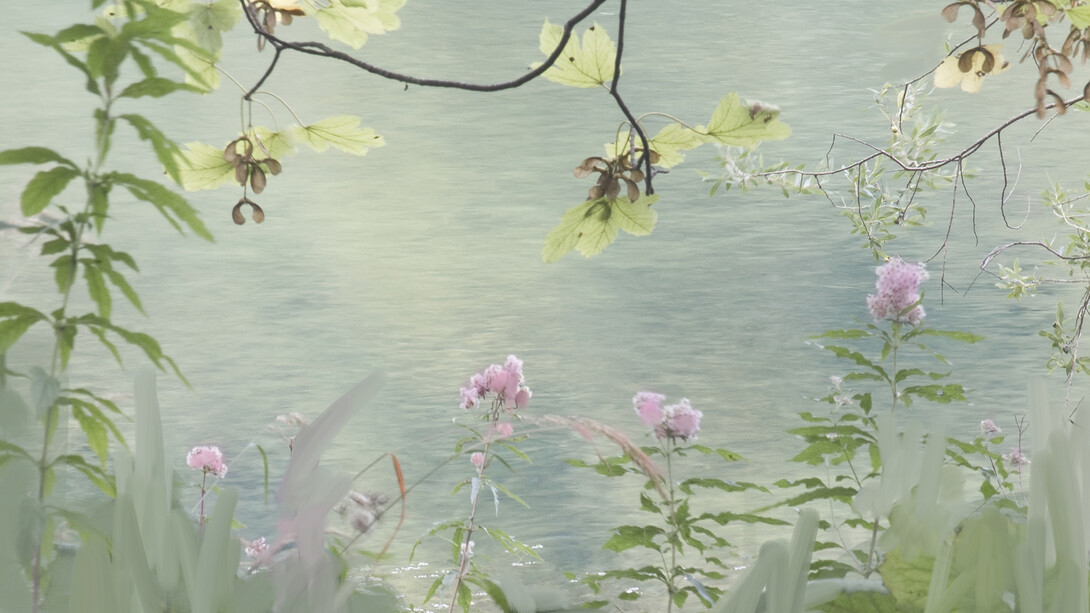 Sandra Kantanen, Untitled (Pink Flowers) 2013 pigment print, ed 5, 62 x 50 cm, detail
