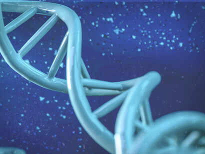 Doble hélice. Solemos decir que heredamos nuestra personalidad de nuestros padres, pero la realidad es que nuestros genes se remontan más atrás