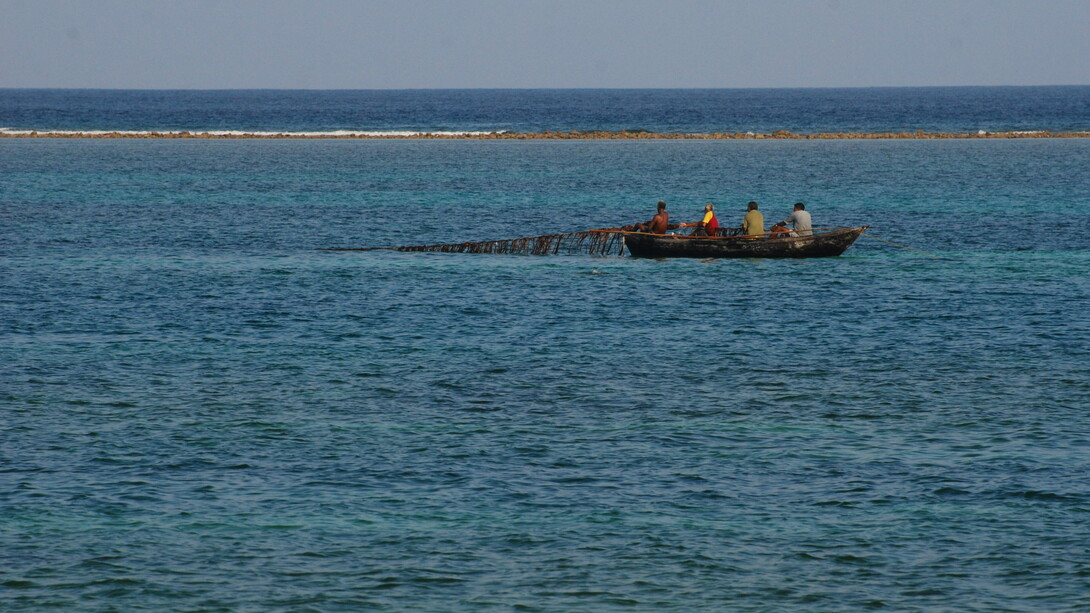 Deep Ocean Mission and Blue Revolution will both threaten India's marine biodiversity and livelihoods of small fisherfolk © Ashish Kothari